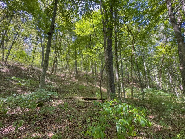 0 Fairview Rd, New Plymouth, OH 45654