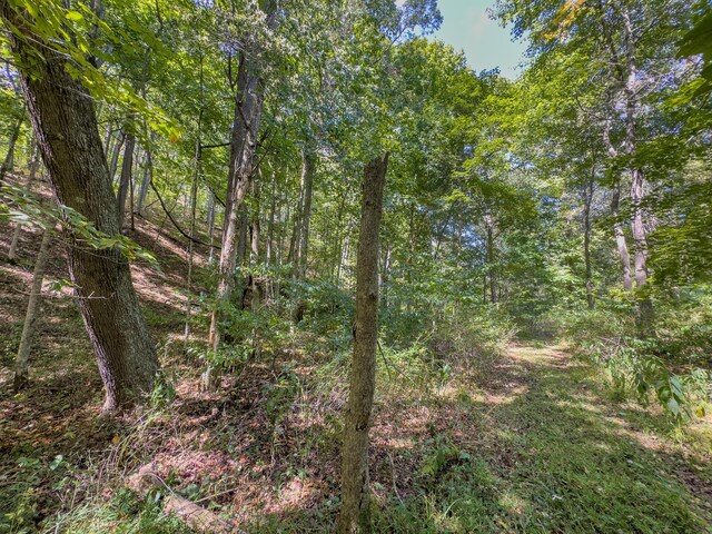 0 Fairview Rd, New Plymouth, OH 45654