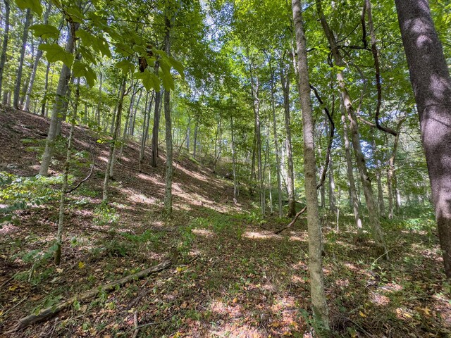0 Fairview Rd, New Plymouth, OH 45654