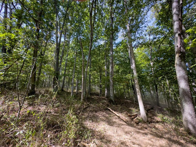0 Fairview Rd, New Plymouth, OH 45654
