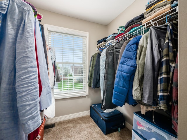 spacious closet featuring visible vents and carpet floors