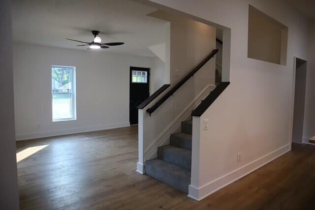 16786 Main St, Williamsport, OH 43164 - stairs featuring healthy amount of natural light, ceiling fan, and wood finished floors
