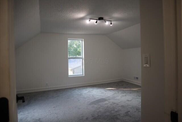 16786 Main St, Williamsport, OH 43164 - additional living space featuring lofted ceiling, carpet flooring, and a textured ceiling
