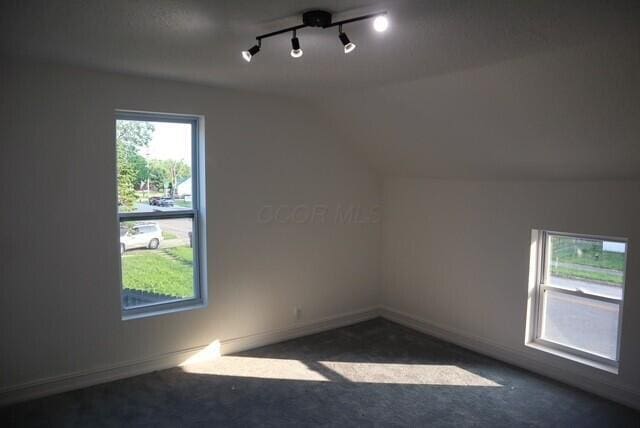 16786 Main St, Williamsport, OH 43164 - bonus room with carpet and vaulted ceiling