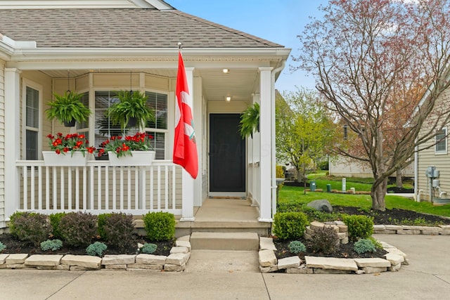 508 Straiton Sq, Westerville, OH 43082 - property entrance featuring a porch and a shingled roof