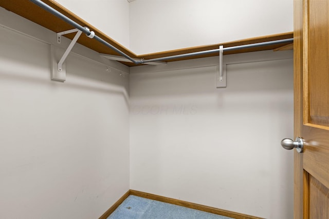 2816 Quail Run Ct, Mansfield, OH 44904 - spacious closet with carpet
