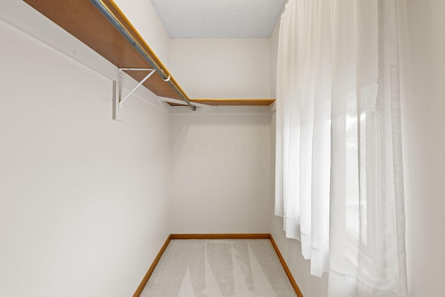 2816 Quail Run Ct, Mansfield, OH 44904 - walk in closet with carpet