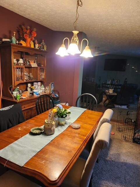 395 Fyffe Hollow Rd, Chillicothe, OH 45601 - photo 19