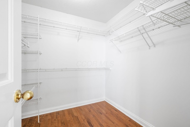 spacious closet featuring wood finished floors
