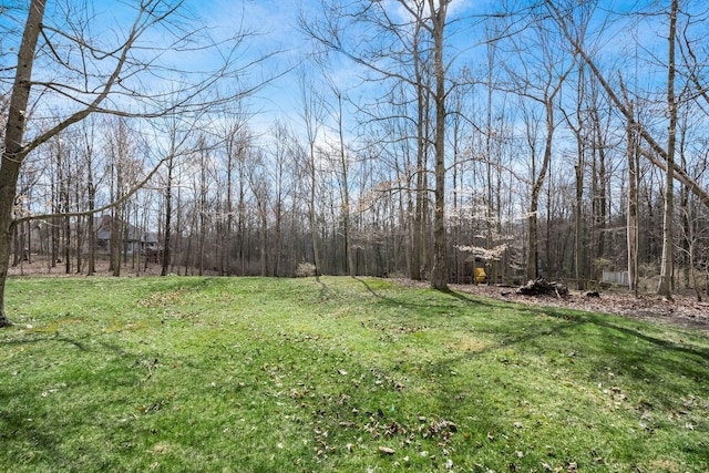 view of yard with a forest view