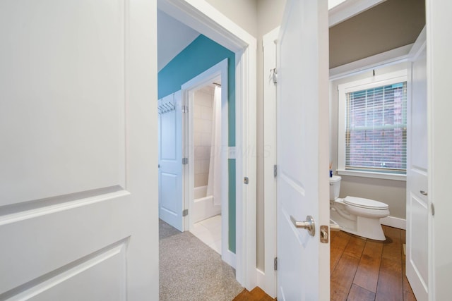 62 Sherman Ave, Columbus, OH 43205 - hall with hardwood / wood-style floors and baseboards