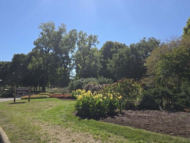 62 Sherman Ave, Columbus, OH 43205 - view of green lawn