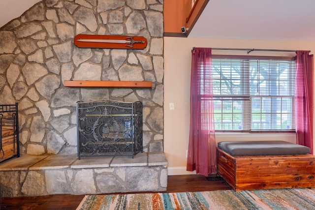 details featuring baseboards, wood finished floors, and a fireplace