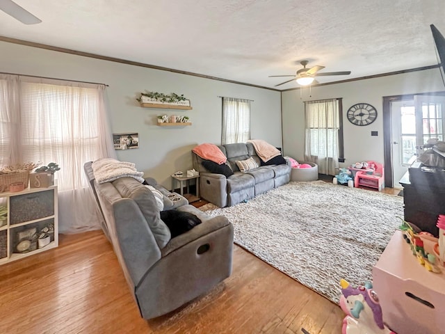 113 Chestnut St SE, Corning, OH 43730 - living area with a healthy amount of sunlight, crown molding, hardwood / wood-style flooring, and a ceiling fan