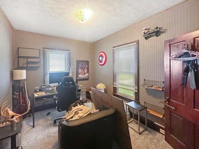 113 Chestnut St SE, Corning, OH 43730 - carpeted office space featuring a textured ceiling