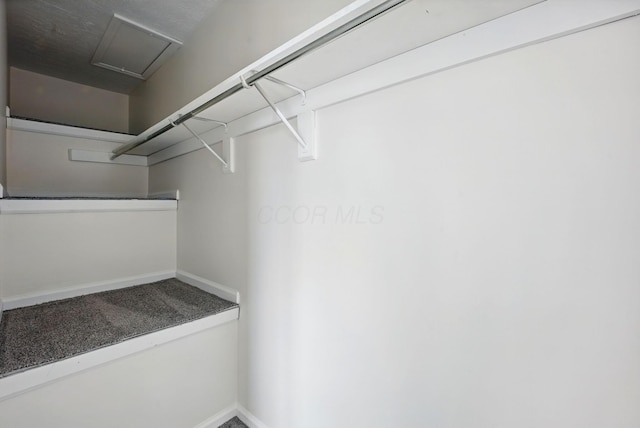 5696 Great Hall Ct, Columbus, OH 43231 - view of spacious closet