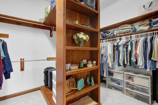 walk in closet with carpet floors