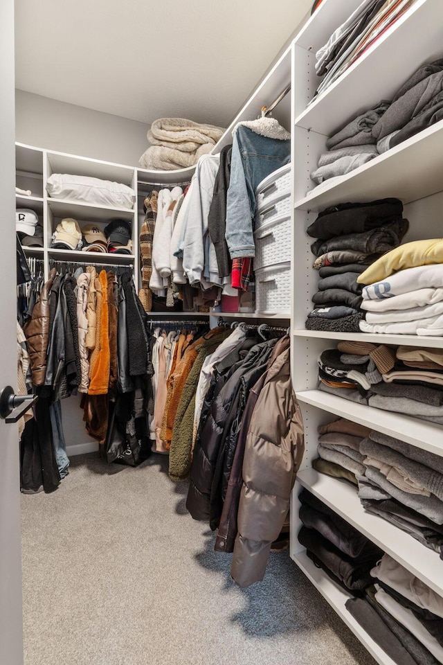 spacious closet featuring carpet