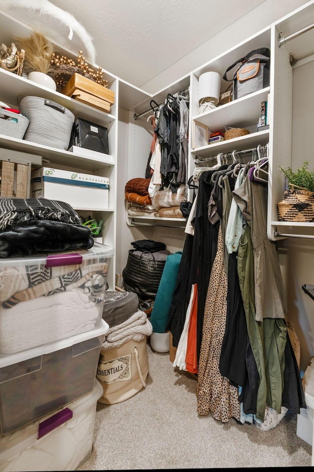 spacious closet featuring carpet floors