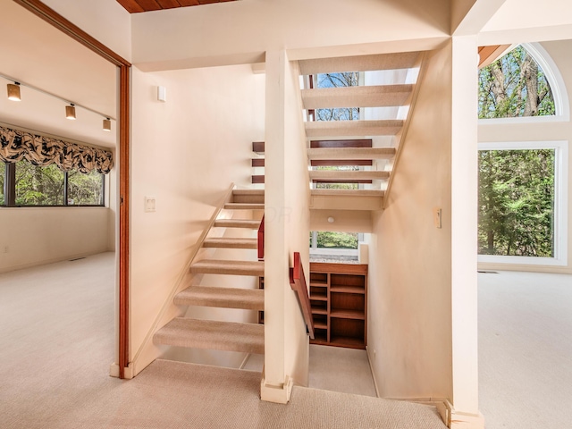 stairway featuring track lighting, a wealth of natural light, and carpet floors