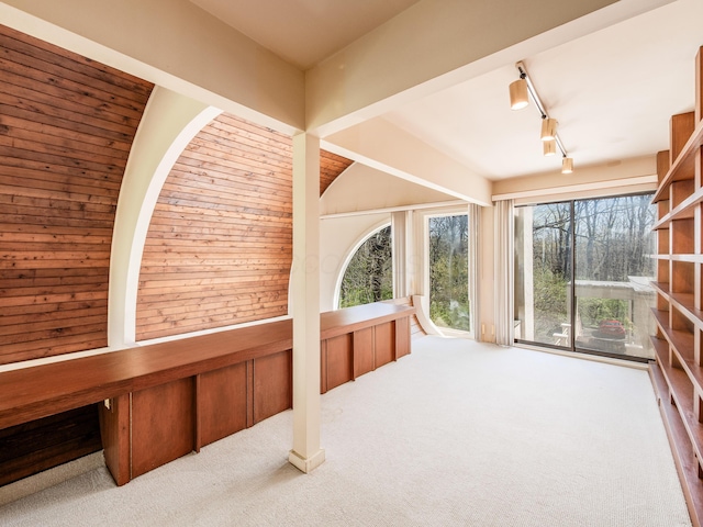 unfurnished sunroom featuring rail lighting