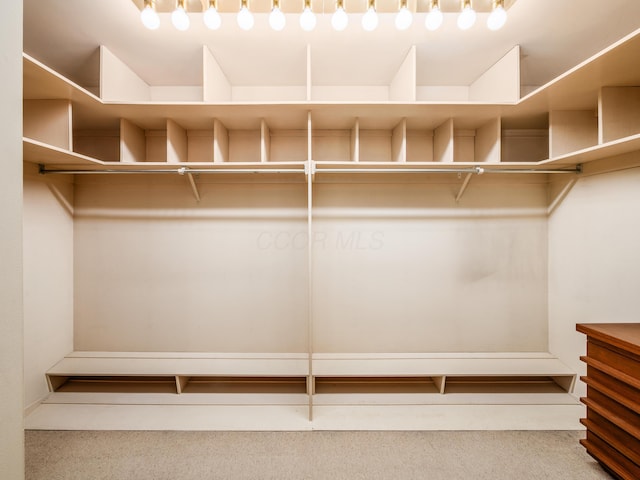 walk in closet with carpet floors