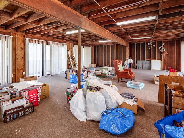 below grade area with carpet flooring