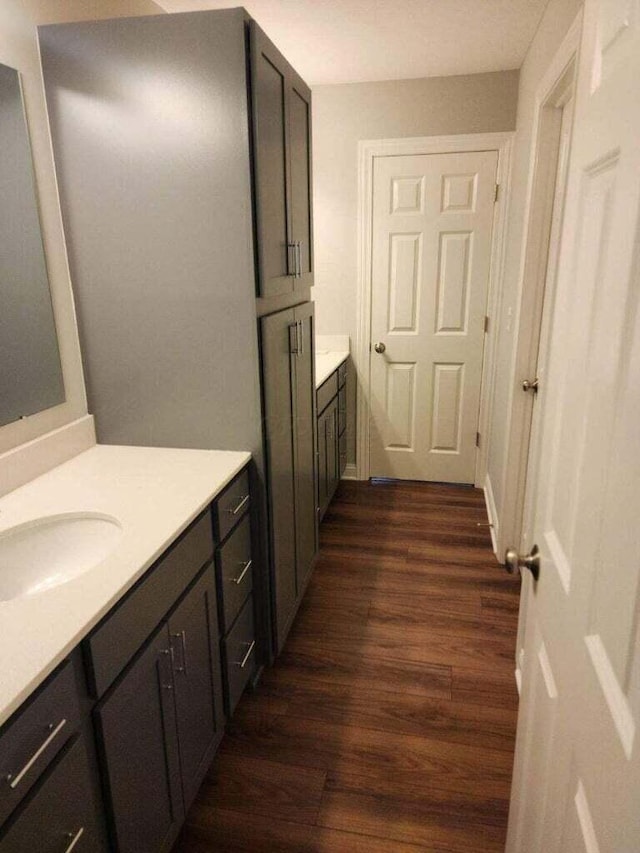 bathroom featuring wood finished floors and vanity