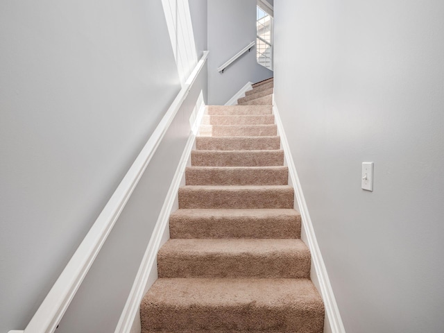 6088 Sowerby Ln, Westerville, OH 43081 - stairway featuring baseboards and carpet floors