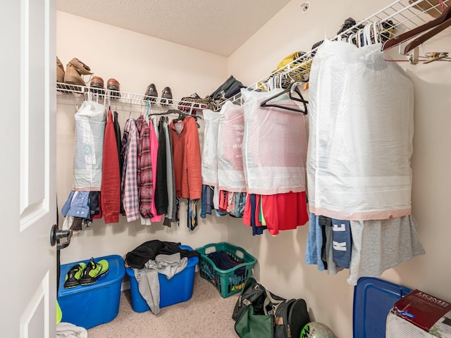 6088 Sowerby Ln, Westerville, OH 43081 - view of walk in closet