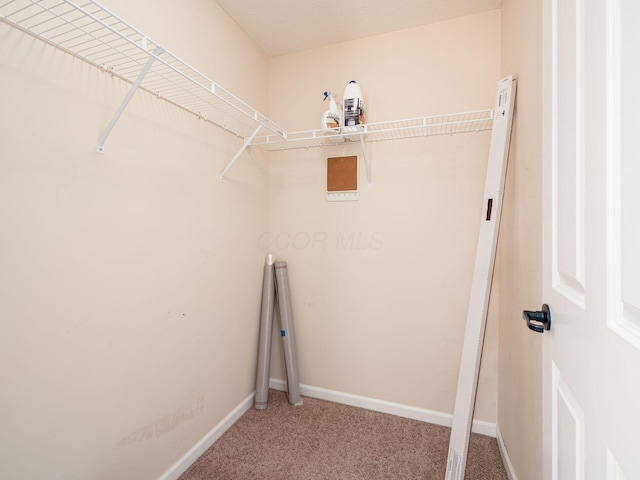6088 Sowerby Ln, Westerville, OH 43081 - walk in closet with light colored carpet
