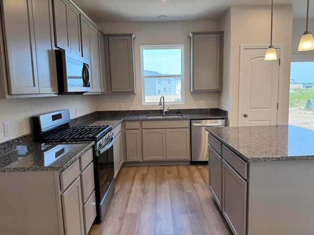 280 Dowler Dr Lot 349, South Bloomfield, OH 43103 - kitchen with stainless steel appliances, gray cabinets, plenty of natural light, and light wood-type flooring