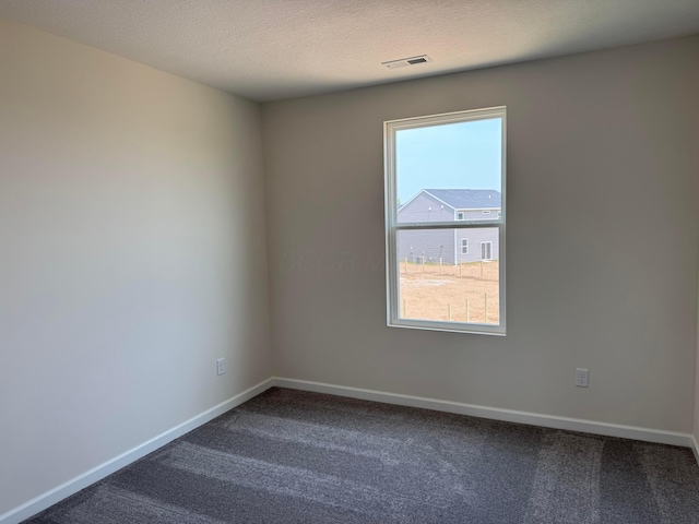 280 Dowler Dr Lot 349, South Bloomfield, OH 43103 - spare room featuring dark carpet and a textured ceiling