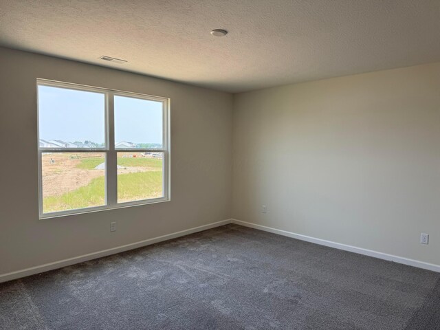 280 Dowler Dr Lot 349, South Bloomfield, OH 43103 - carpeted empty room with a textured ceiling and baseboards