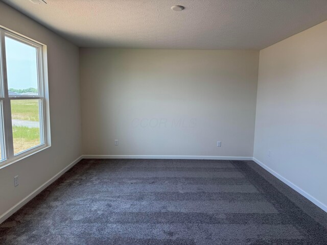 280 Dowler Dr Lot 349, South Bloomfield, OH 43103 - spare room with dark colored carpet and a textured ceiling