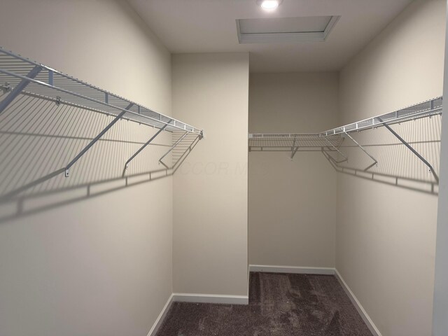 280 Dowler Dr Lot 349, South Bloomfield, OH 43103 - spacious closet featuring attic access and carpet flooring