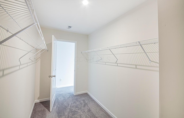 280 Dowler Dr Lot 349, South Bloomfield, OH 43103 - walk in closet featuring carpet