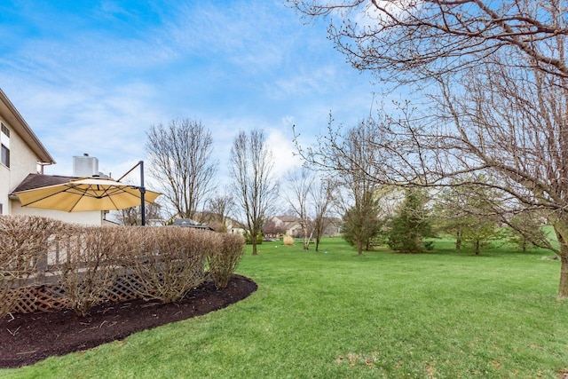 view of yard