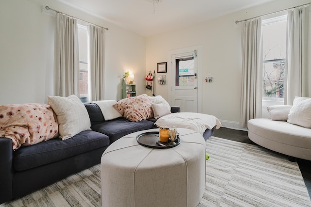 living area featuring baseboards and wood finished floors
