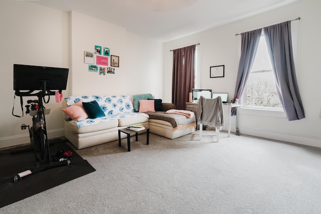living room with carpet floors