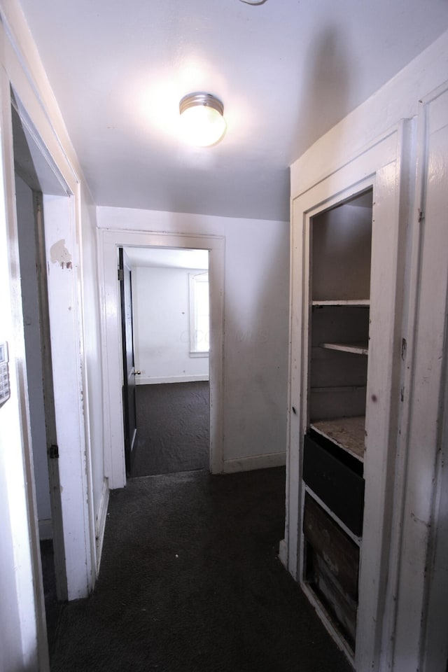 1256 S Champion Ave, Columbus, OH 43206 - corridor with carpet flooring and baseboards