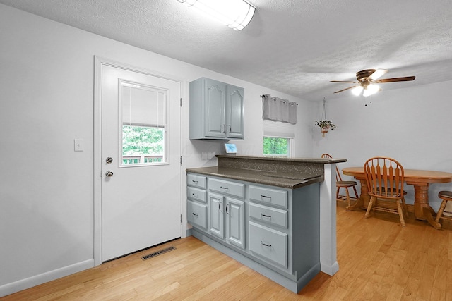 572 Sycamore Dr, Pickerington, OH 43147 - kitchen with gray cabinetry, a peninsula, light wood finished floors, a ceiling fan, and a textured ceiling