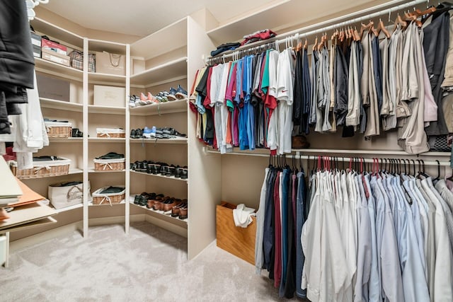 4568 Hickory Rock Dr, Powell, OH 43065 - walk in closet with carpet flooring