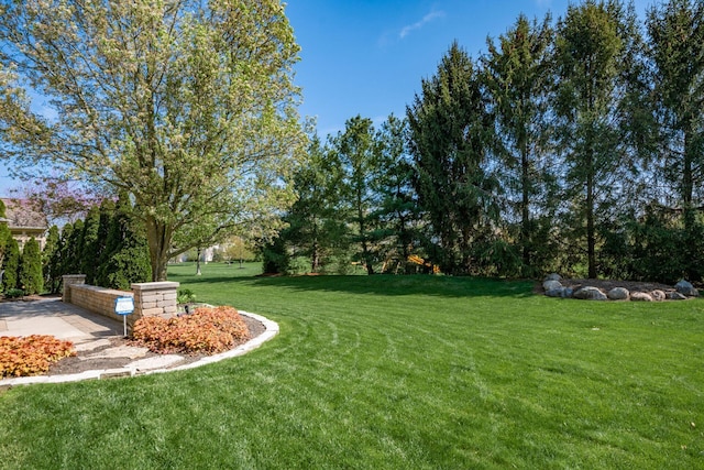 4568 Hickory Rock Dr, Powell, OH 43065 - view of yard