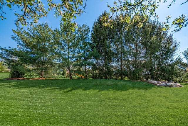 4568 Hickory Rock Dr, Powell, OH 43065 - view of yard