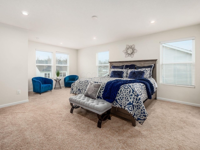 9239 Horseshoe St, Plain City, OH 43064 - carpeted bedroom with baseboards and recessed lighting