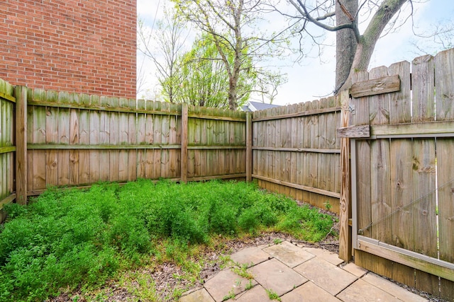 view of yard featuring a fenced backyard and a patio