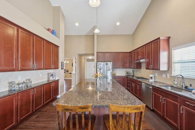 kitchen with stainless steel appliances, high vaulted ceiling, under cabinet range hood, a sink, and dark brown cabinets