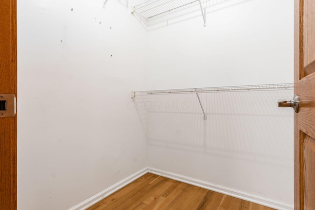 walk in closet featuring light wood-type flooring