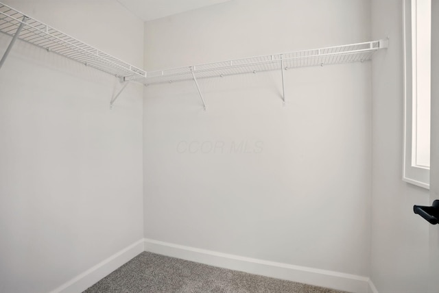 334 Woodland Ave, Columbus, OH 43203 - photo 35